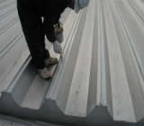 �f�J�T���r�o